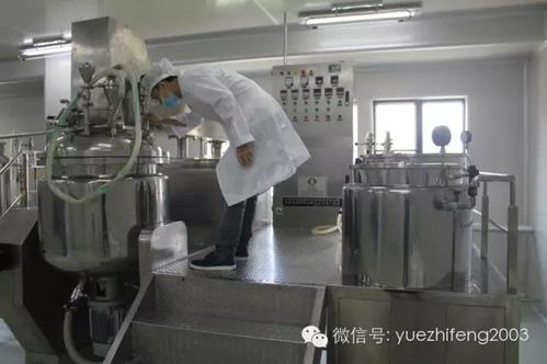 十年磨一劍 探訪全國(guó)第一大凍干粉生產(chǎn)基地的專(zhuān)注與創(chuàng)新之路